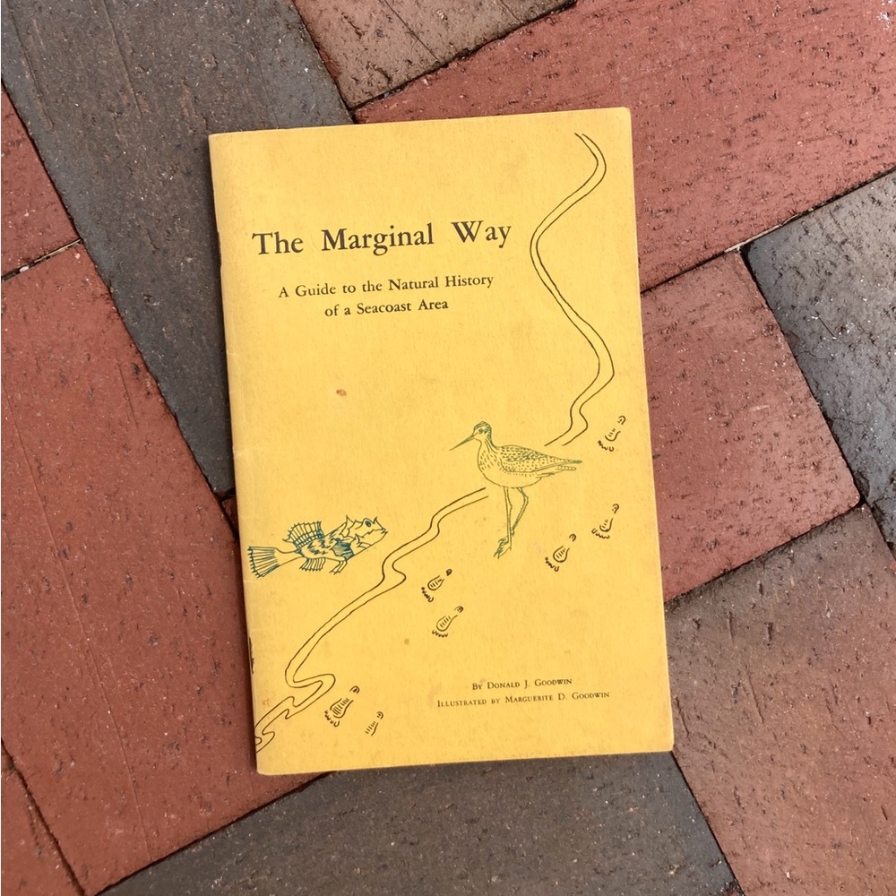 1971 Marginal Way Guide To Natural History Of Seacoast Area Maine New England
